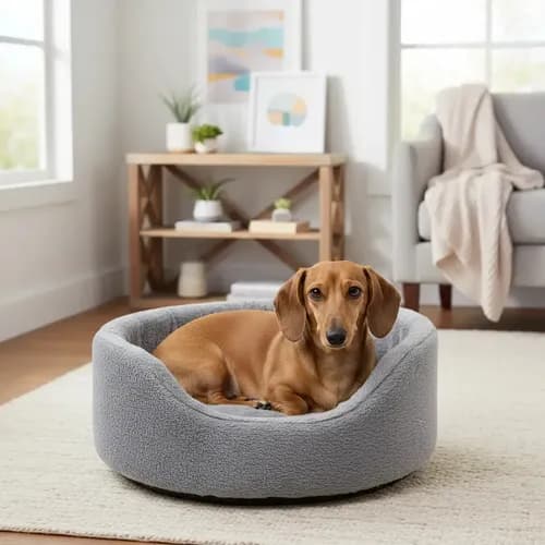 Moises Para Perro O Gato Lola Pets Islandia Chico Color Gris oscuro Diseño Redondo — imagen 3
